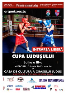 CUPA LUDUSULUI LA BOX 2015