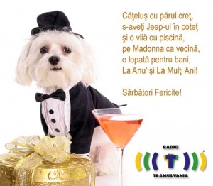 Felicitare!